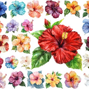 Hibiscus Flower PNG Clipart: Tropical Hawaiian Art (Digital Download)