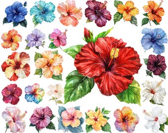 Hibiscus Flower PNG Clipart: Tropical Hawaiian Art (Digital Download)