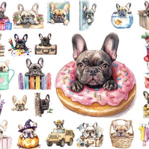 Französische Bulldogge späht PNG Clipart Bundle, Aquarell Hund Clipart, Hund Peek Art, sofortiger Download, kommerzielle Nutzung, druckbare Kunst