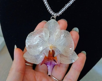 Echte Blume Halskette - Konservierte Weiße Orchidee Mit hellrosa Glasperlen Halskette - Geschenk für Pflanzenliebhaber und Blumenliebhaber
