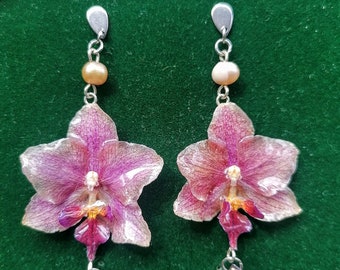 Real Flower Earrings - Preserved Orchid With Glass beads - Stainless steel - Phalaneopsis orchid