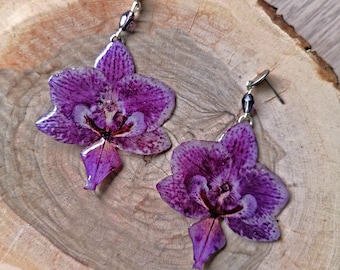 Echte Blumen Schmuck - Lila Orchidee Ohrringe mit Glasperlen