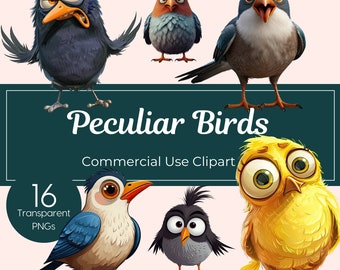 Peculiar Birds Clip Art Set Quirky Whimsical Bird Clipart Images Cute Funny Goofy Birds Png Printable Bird Art Junk Journals Scrapbooking
