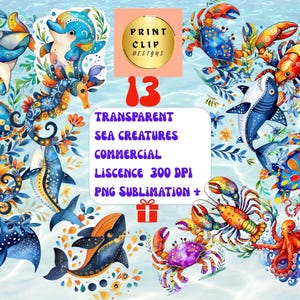 Aquarell Meeresbewohner Clipart Meerestiere, wunderliche Delfine Krabben Hummer, Tintenfisch, Sublimation und Unterwasserfische.