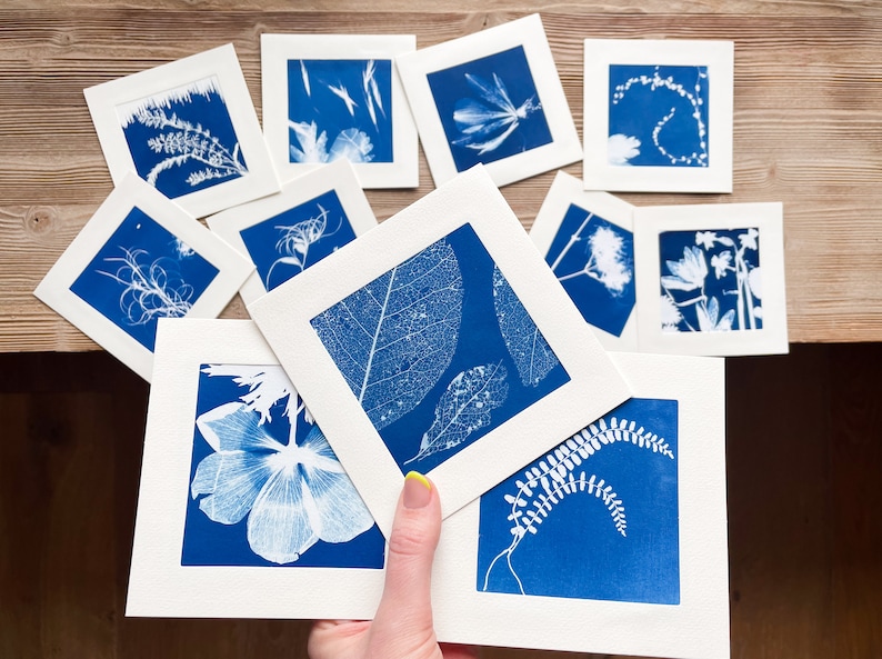 Cartes postales lot de 3 avec illustration cyanotypée originale image 8