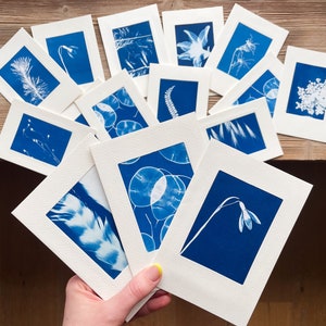 Cartes postales lot de 3 avec illustration cyanotypée originale image 6