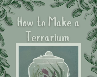 DIY Terrarium Guide | Detailed Instructions & List of Materials | Make Your Own Ecosystem in a Jar