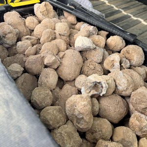 May include: A bin filled with numerous rough, beige-colored rocks. Some rocks have a rounded shape, while others are more irregular. A black tool is visible in the background. The rocks appear to be geodes or similar geological specimens.