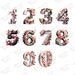 Cherry Blossom Alphabet Clipart, Floral Letters, Numbers (PNG Digital ...