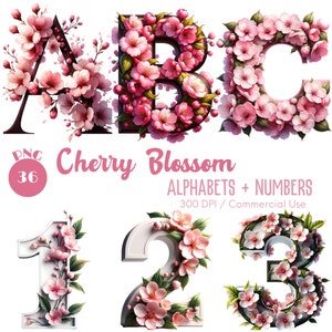 Alfabetos e números em flor de cerejeira Clipart 36 PNG Flor de cerejeira alfa Clipart Letras decorativas Sakura Alfabeto PNG download digital