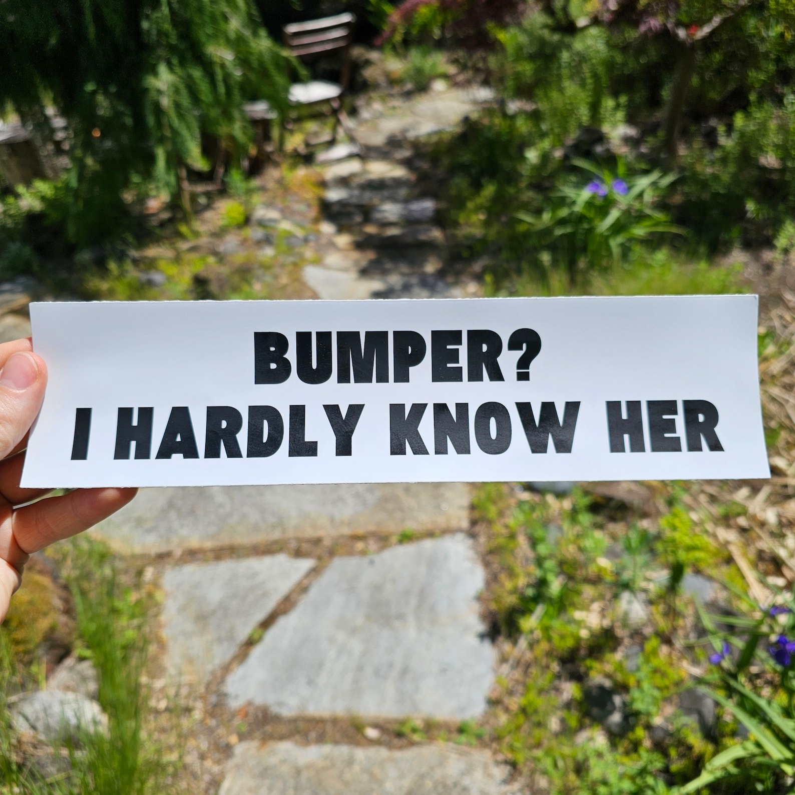 Bumper? I Hardly Know Her Funny Bumper Sticker, Meme Stickers, Car Stickers Etsy