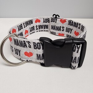 Mama&#39;s Boy in Gray Dog Collar