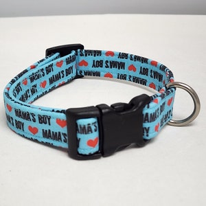 Mama&#39;s Boy in Aqua Dog Collar