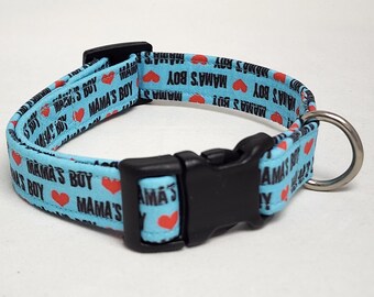 Mama&#39;s Boy in Aqua Dog Collar