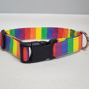 Rainbow Dog Collar