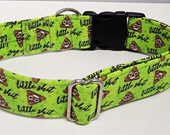 Little Shit in Green Dog Collar