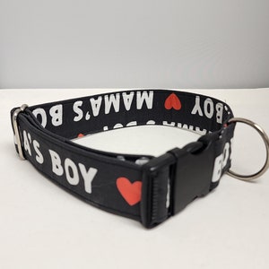 Mama&#39;s Boy in Black Dog Collar