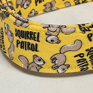 Squirrel Patrol Dog Collar