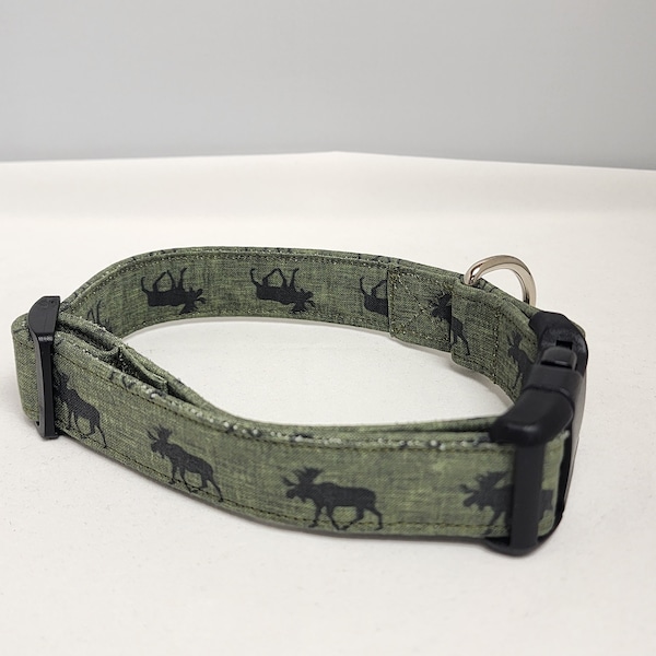 Eland op groene halsband
