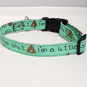 Soy una pequeña mierda con collar de perro verde