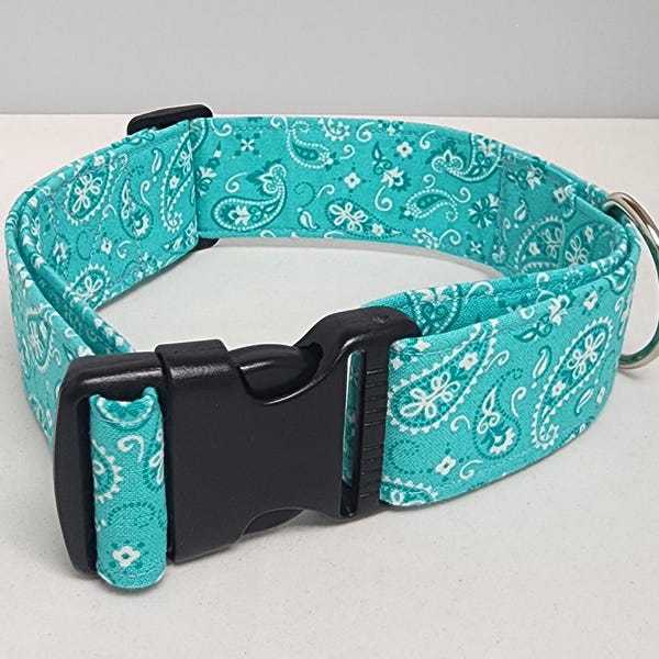 Paisley on Aqua Dog Collar