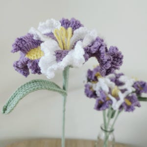 Puede incluir: Flores de ganchillo hechas a mano en tonos morados, blancos y amarillos. Las flores tienen pétalos detallados y están dispuestas con tallos y hojas verdes. Una flor está enfocada, mientras que otras están en un jarrón en el fondo. Un encantador arreglo floral artesanal.