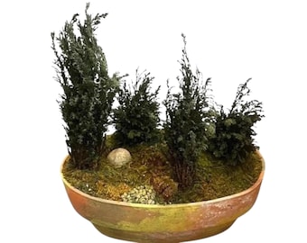 FOREVER GREEN ART Potted Quartet Mini Cypress Tree In Oval Terra Cotta Planter