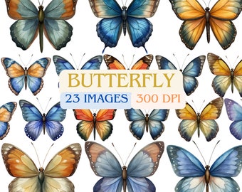 Butterflies Clipart - Butterflies Clipart Download, Instant Download, Butterflies butterfly illustrations in PNG clip art for commercial use