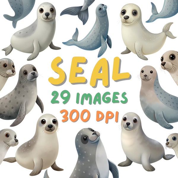 Watercolor Seals Clipart - Seal Clipart Download - Instant Download - Marine Animals - Harp seal, Elephant Seal, Spotted seal, Leopard seal