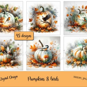 Pumpkins with birds, owl, eagle, chickadee, sparrow, hummingbird, kingfisher, watercolor, scrapbooking, digital download, commercial use