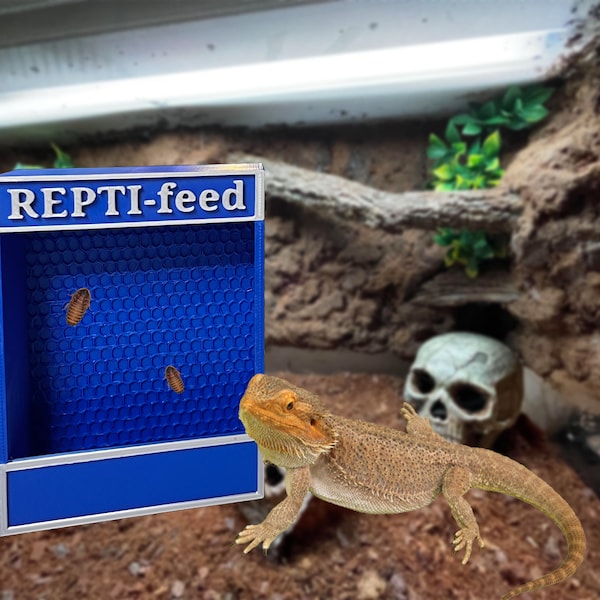 REPTI-Feed, Reptile feeder, PERSONALIZED magnetic chameleon, bearded dragon, gecko, frog insect tray