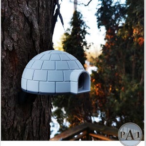 May include: A white igloo-shaped birdhouse with a small entrance hole, mounted on a tree trunk. The birdhouse is made of a material that resembles brick.