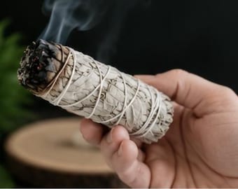 Bâtonnet de sauge blanche