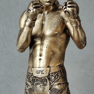 Staty UFC 3D Personnalisée avec visage Peinte Main Idée Cadeau Fan Sport Combat bild 3