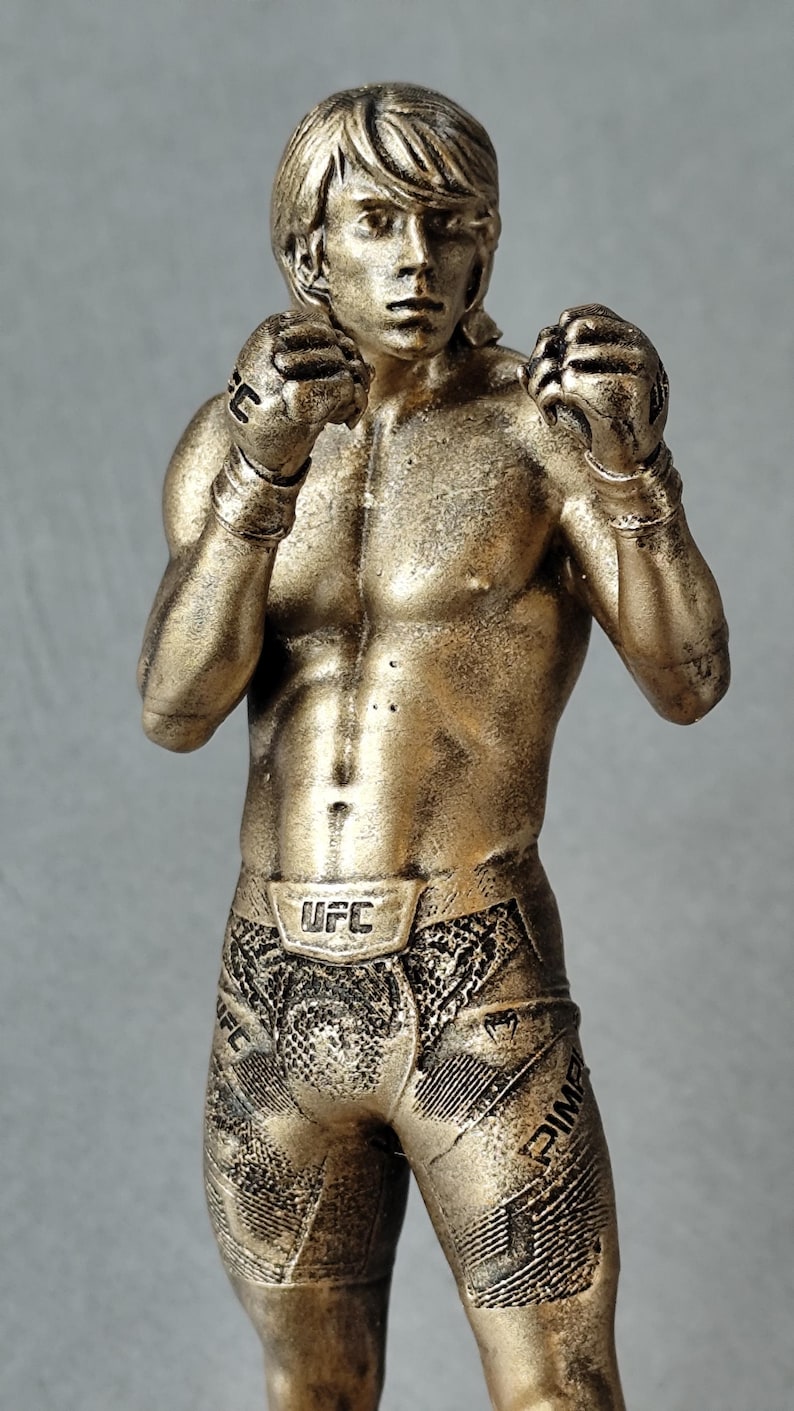 Staty UFC 3D Personnalisée avec visage Peinte Main Idée Cadeau Fan Sport Combat bild 3