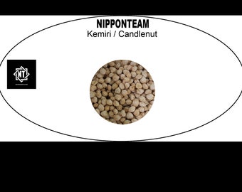 Plants from Javanese nature - Kemiri (candlenut, kukui nut) 100 Grams