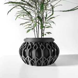 May include: A black planter with a geometric design, featuring a green plant with long, thin leaves.