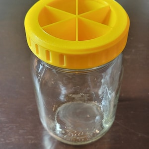 Fruit fly trap / fly trap / mason jar trap / bug trap /