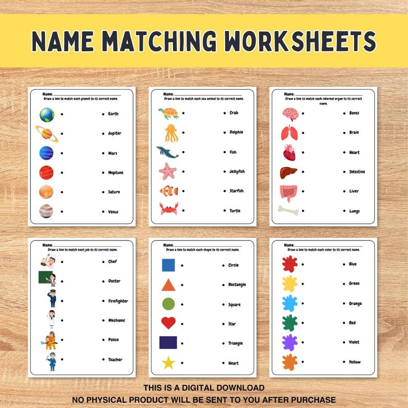 Matching Activities: Preschool Printable Busy Book (PDF) - Etsy