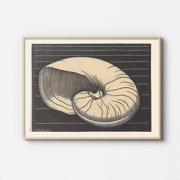 1921 Nautilus Shell Art by Julie de Graag | Pen & Brush Technique | Printable Vintage Wall Art