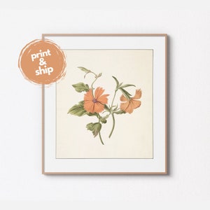 Impresión de arte vintage / Ilustración de rosa china amarilla de 1820 / Acuarela de M. de Gijselaar / Ilustración de flores antiguas / Impresión de arte vintage