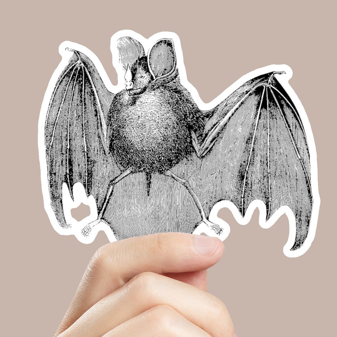 Bat Sticker - Etsy