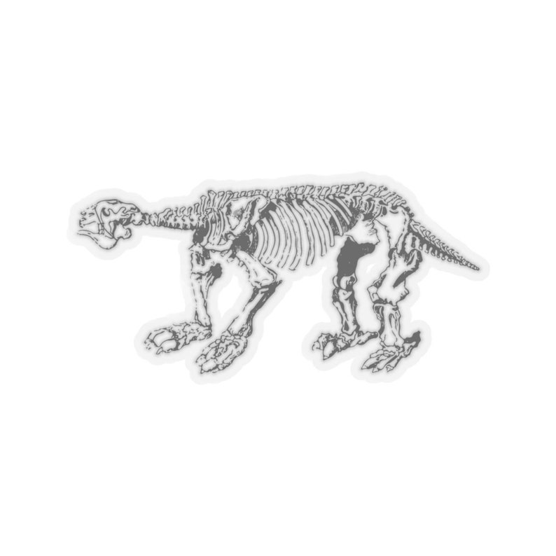 Anteater Skeleton Sticker image 3
