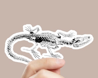 Crocodile Skeleton Sticker