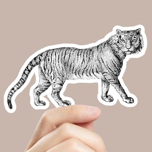 Tijgersticker