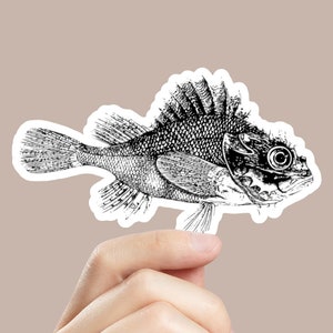 Fish Sticker