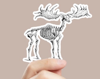 Moose Skeleton Sticker