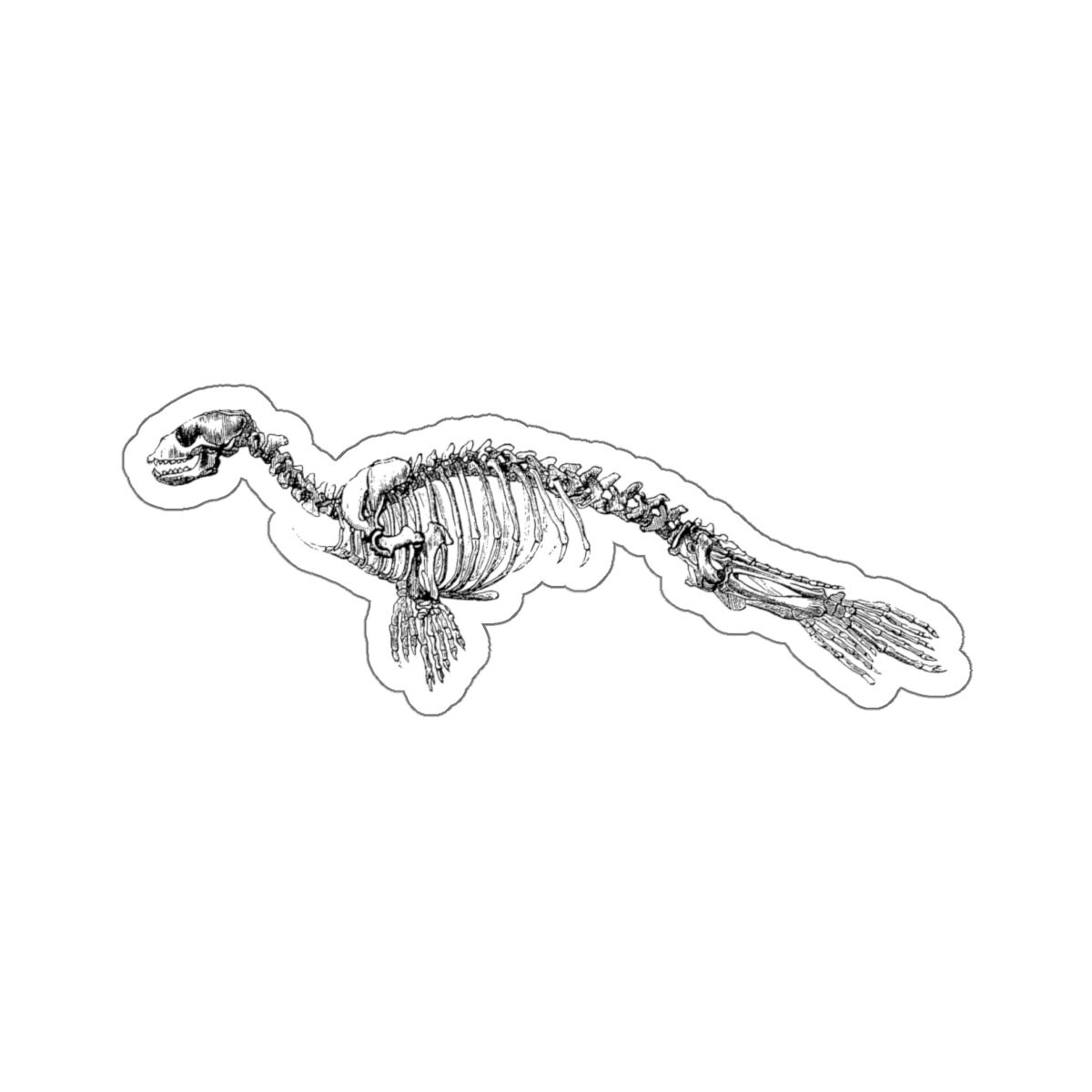 Seal Sticker - Etsy