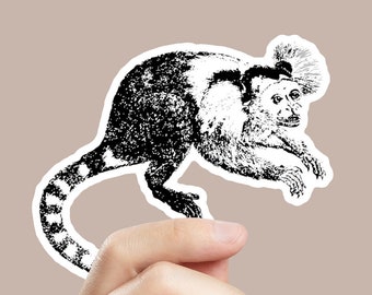 Monkey Sticker