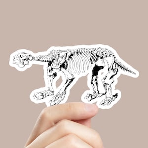 Anteater Skeleton Sticker